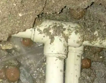 普定测漏水多少钱