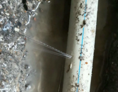 普定测漏水哪家好