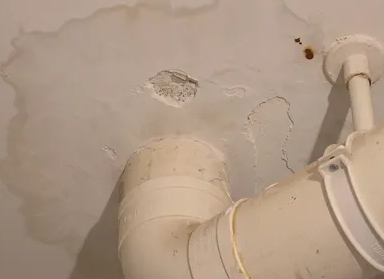 普定卫生间测漏水多少钱