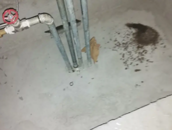 普定卫生间测漏水价格明细